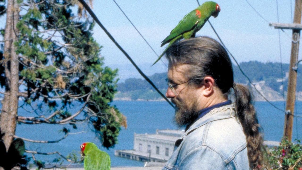 The Wild Parrots of Telegraph Hill backdrop