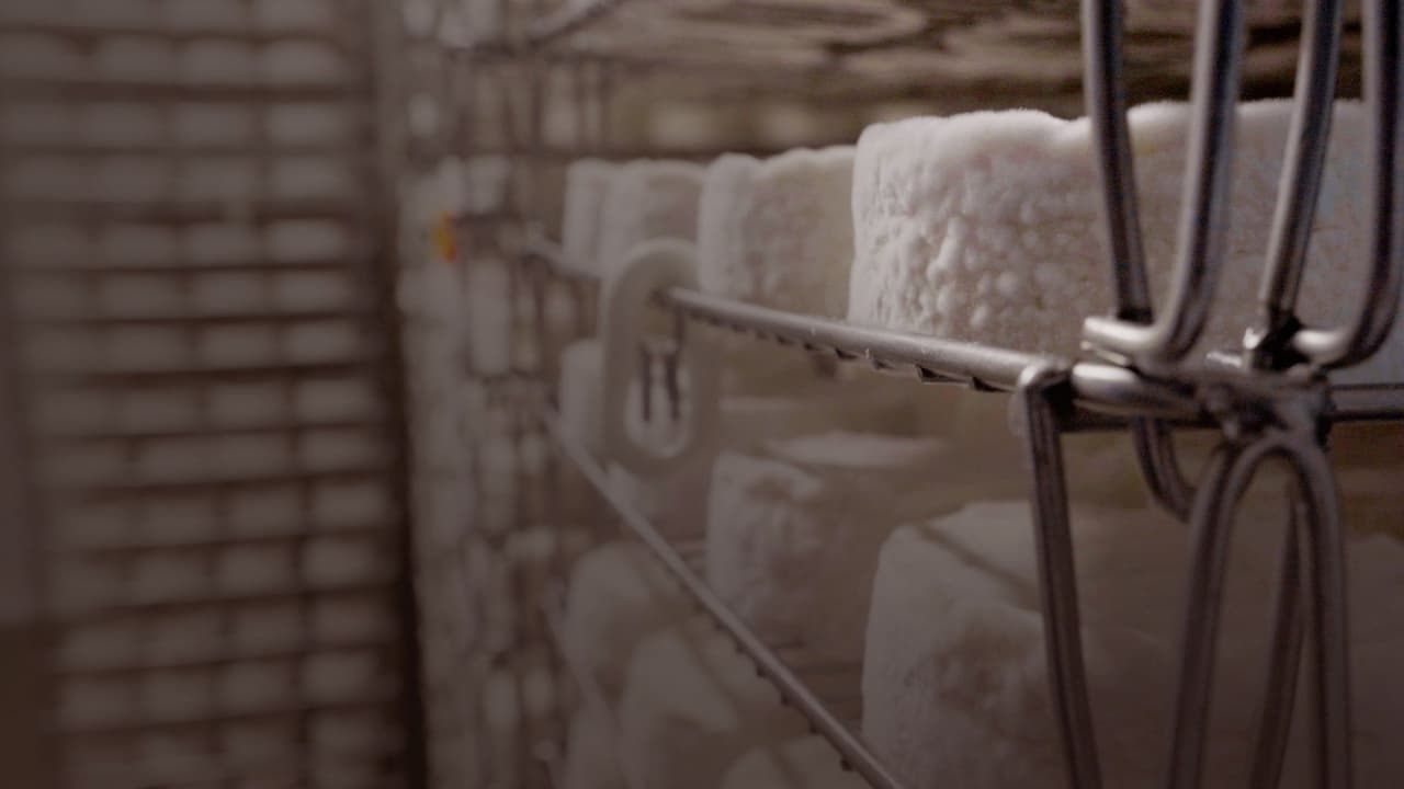 Le camembert nous ouvre sa boîte backdrop