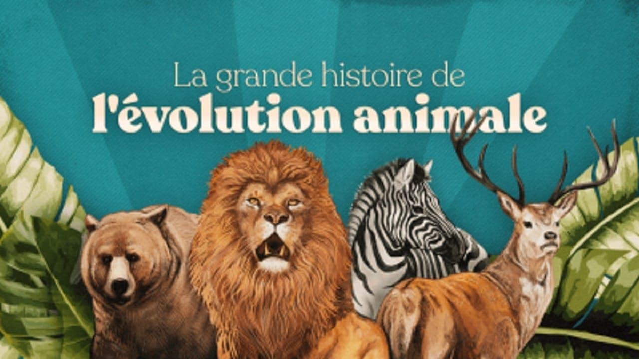 La Grande Histoire de l'évolution animale backdrop