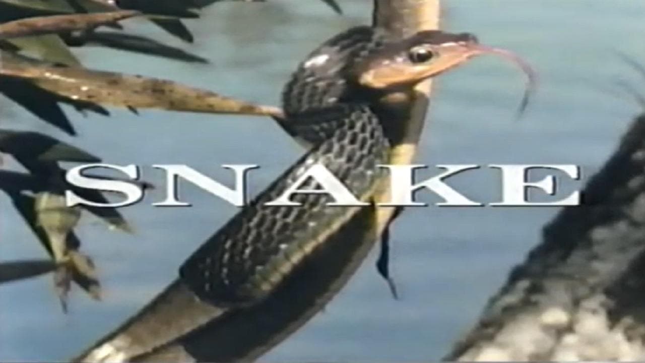 Predators of the Wild: Snake backdrop