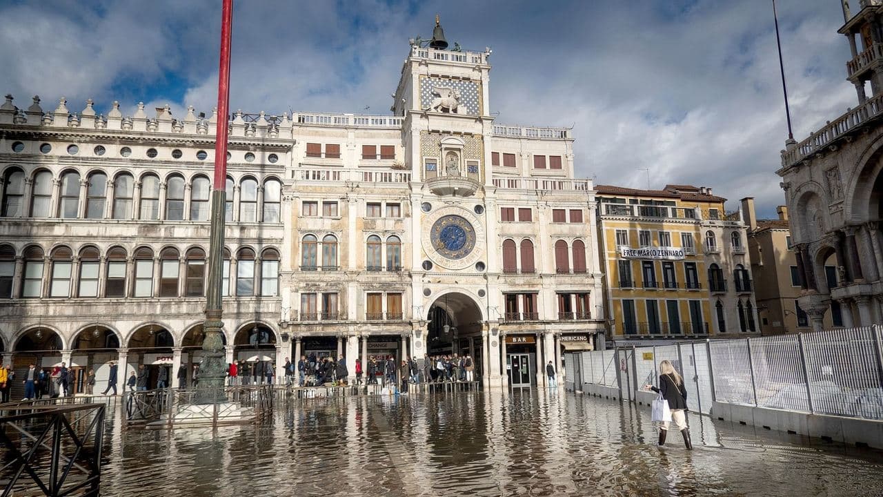 Saving Venice backdrop