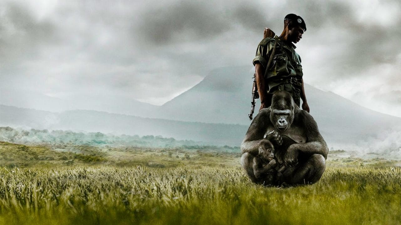 Virunga backdrop