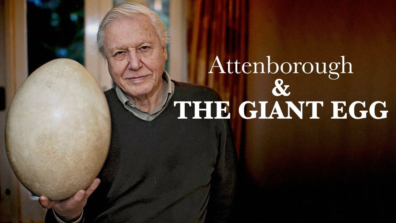 Attenborough and the Giant Egg backdrop