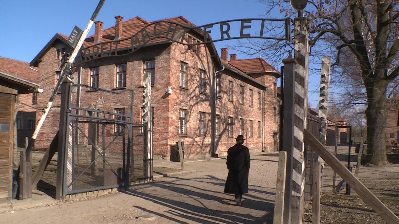 Requiem for Auschwitz - the film backdrop