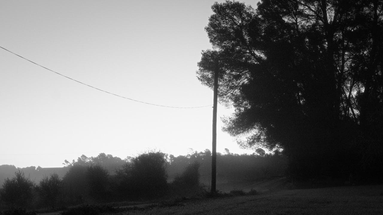 Estimada Sa Bastida backdrop