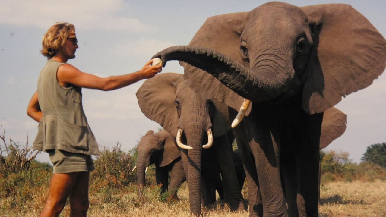 A Life Among Elephants backdrop