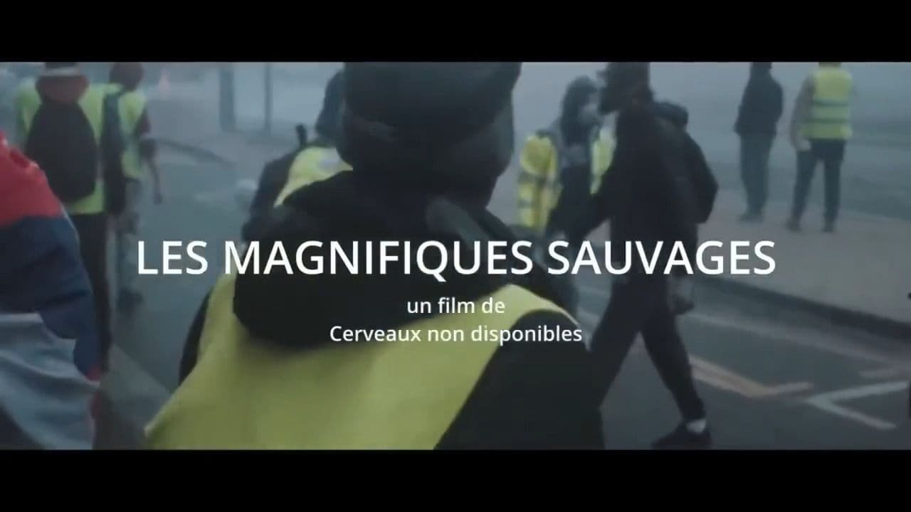 Les Magnifiques sauvages backdrop