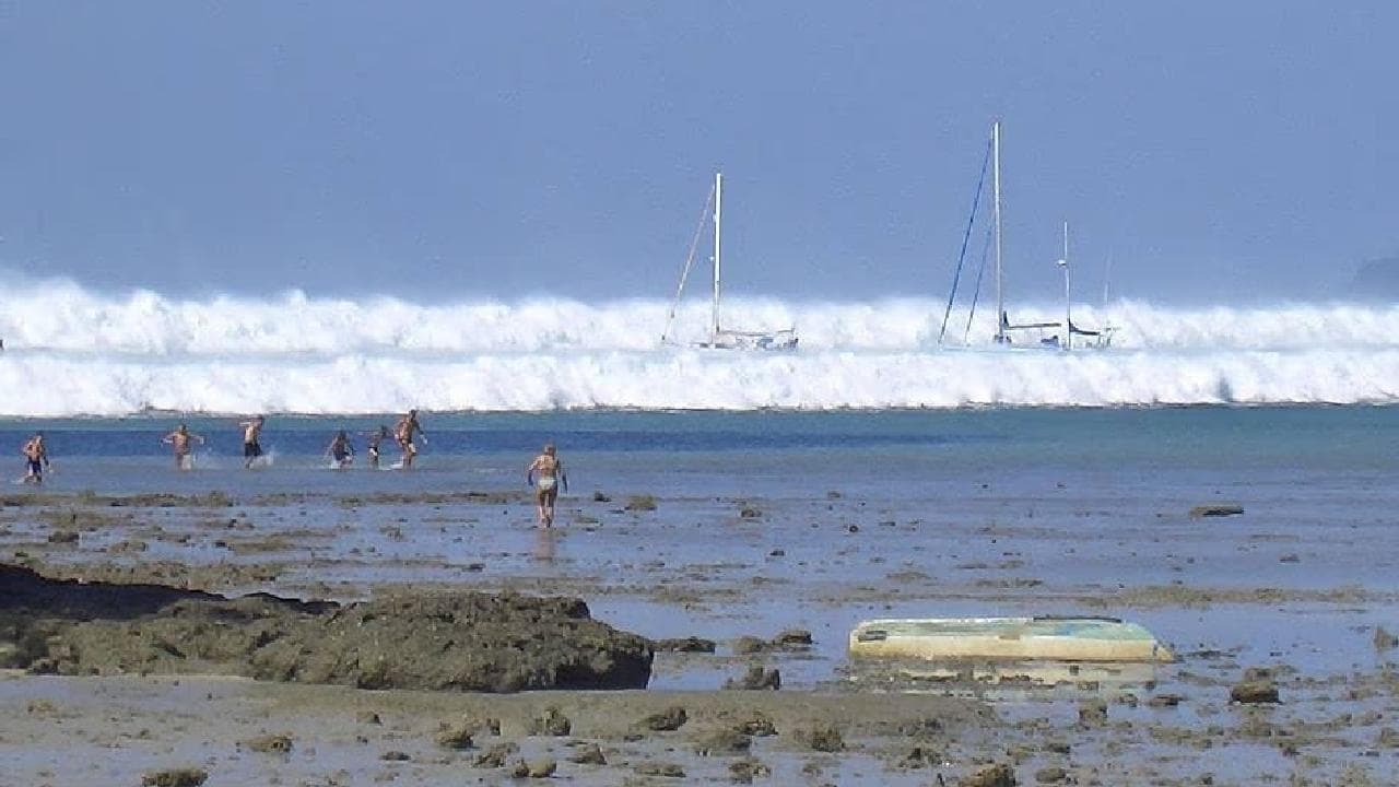 Tsunami: Caught on Camera backdrop