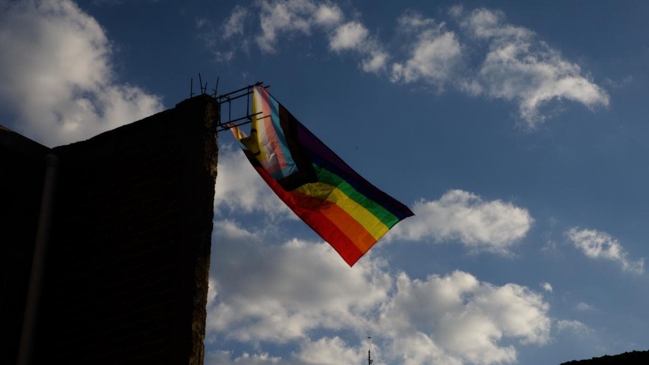 Guanajuato: Dissent and Diversity backdrop