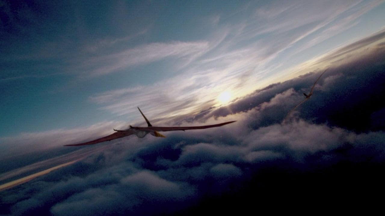 Flying Monsters 3D with David Attenborough backdrop