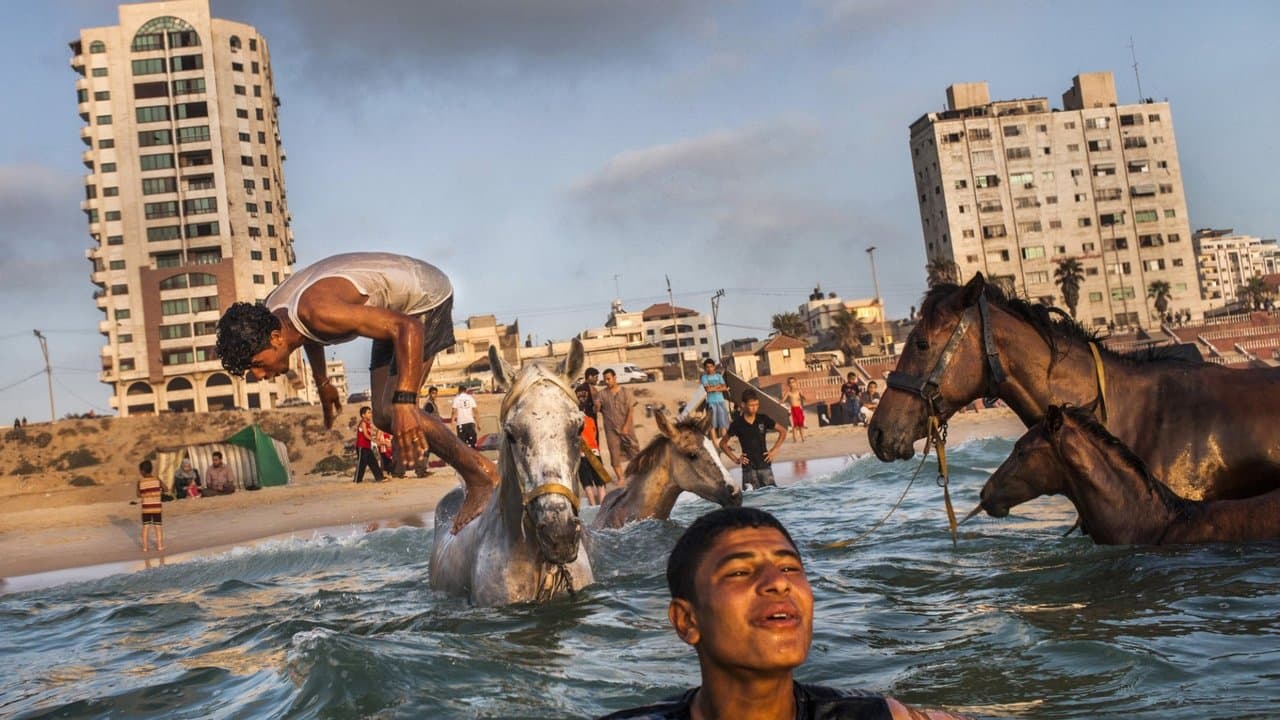 Gaza backdrop