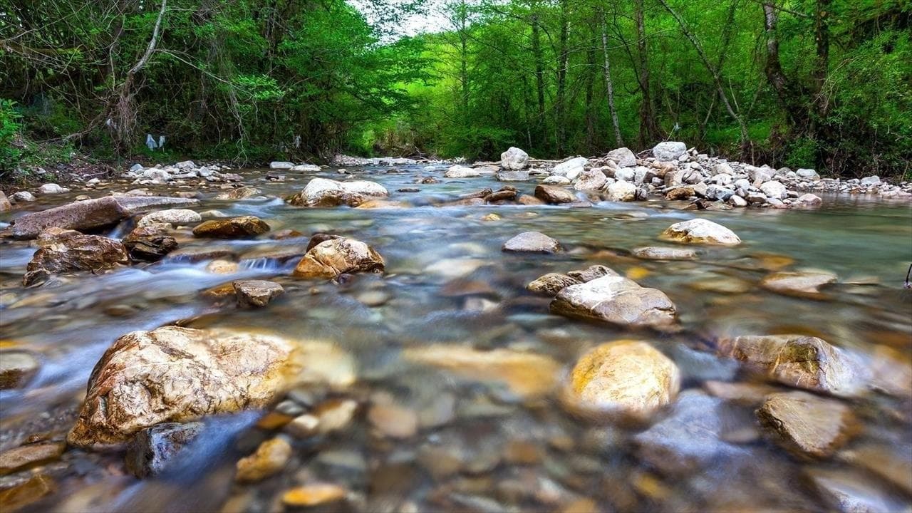 La Rivière backdrop