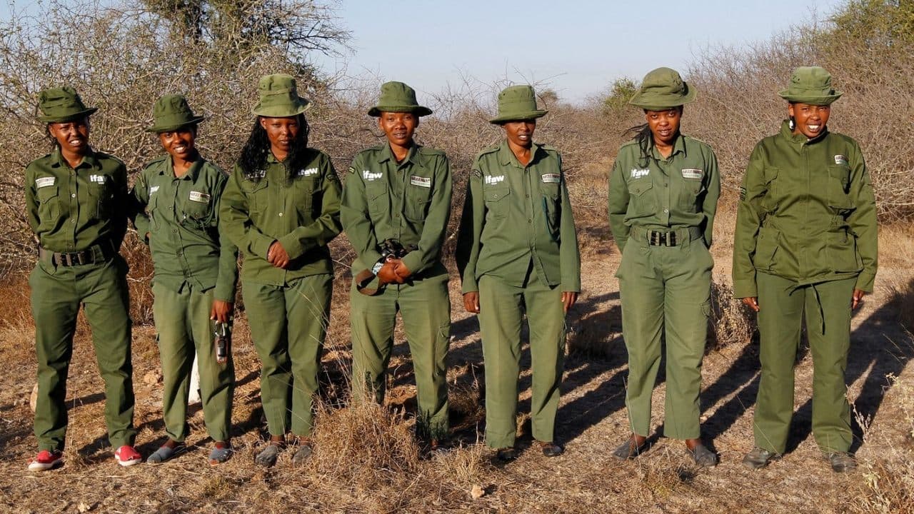 Women, Maasai and rangers - The lionesses of Kenya backdrop