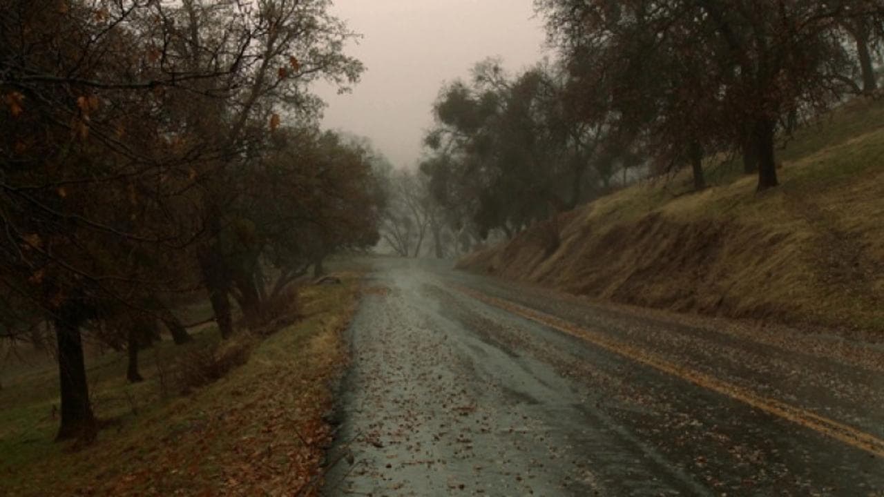 Small Roads backdrop