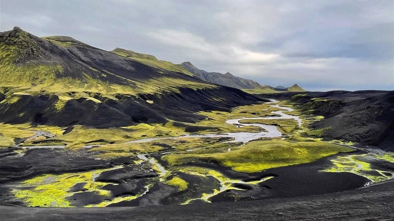 Iceland: The Quest for Origins backdrop