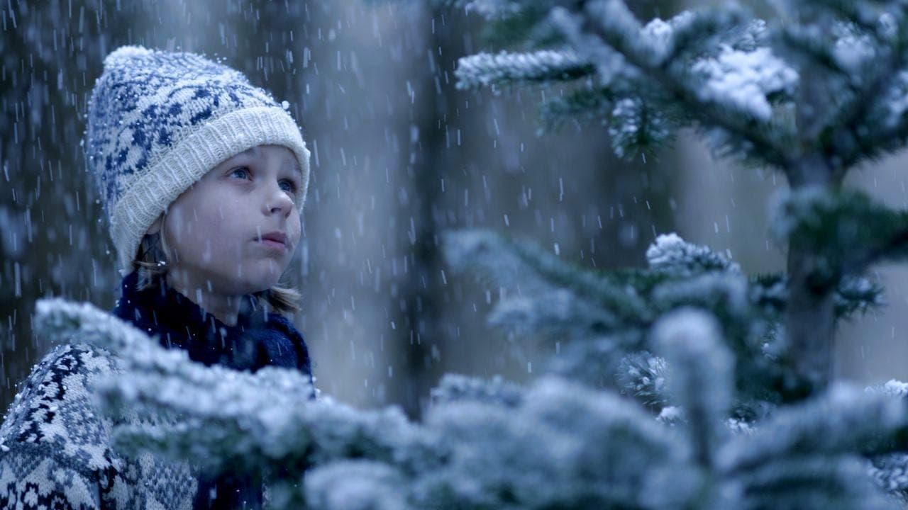 The Fir Tree backdrop