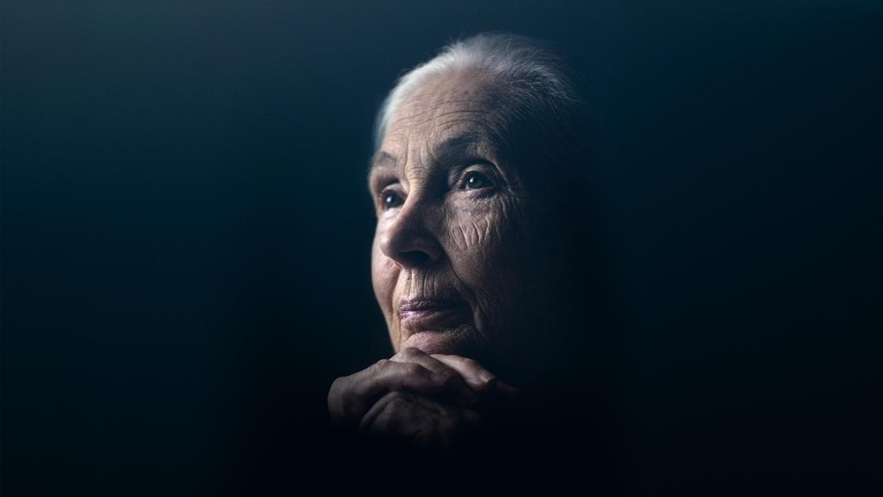 Jane Goodall: The Hope backdrop