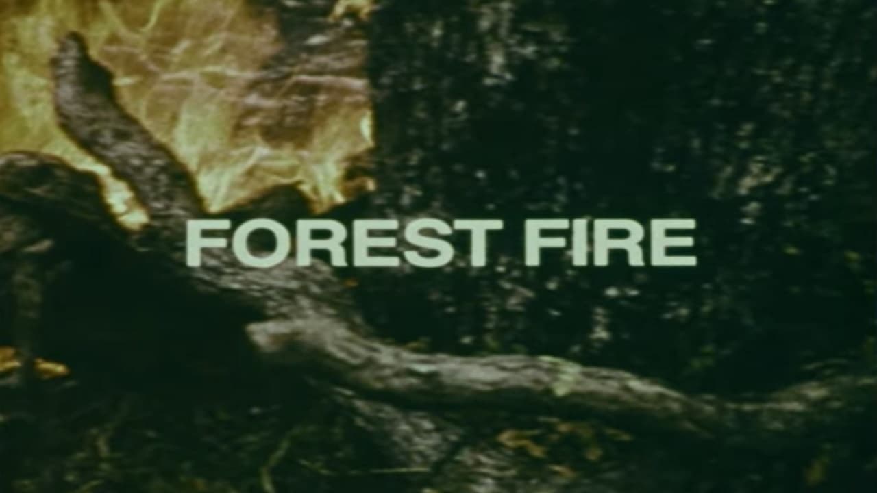 Your Chance to Live: Forest Fire backdrop