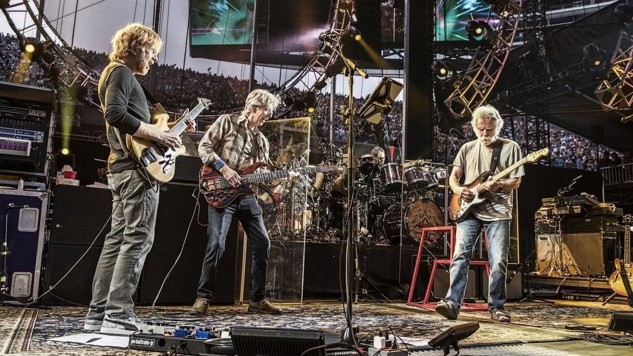 Grateful Dead: Fare Thee Well - 50 Years of Grateful Dead (Chicago) backdrop