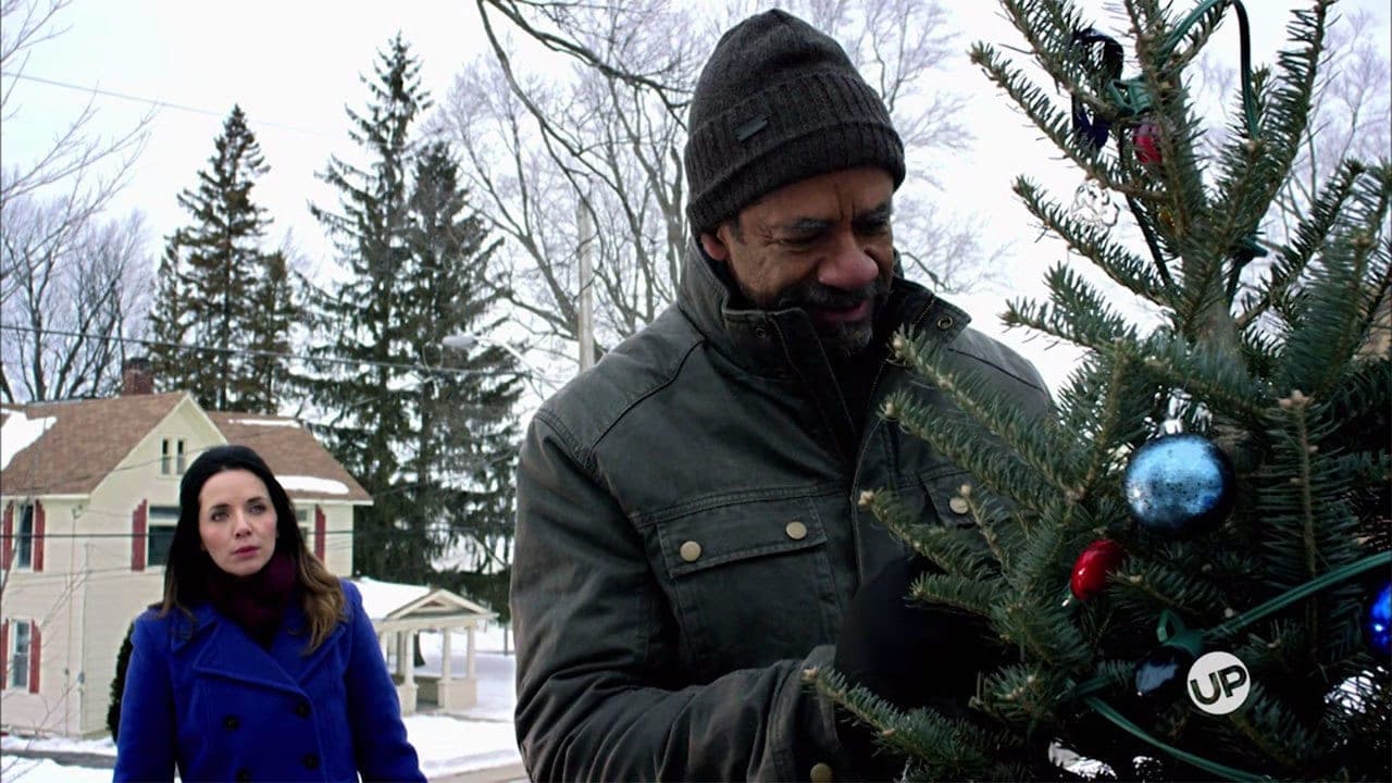 The Rooftop Christmas Tree backdrop