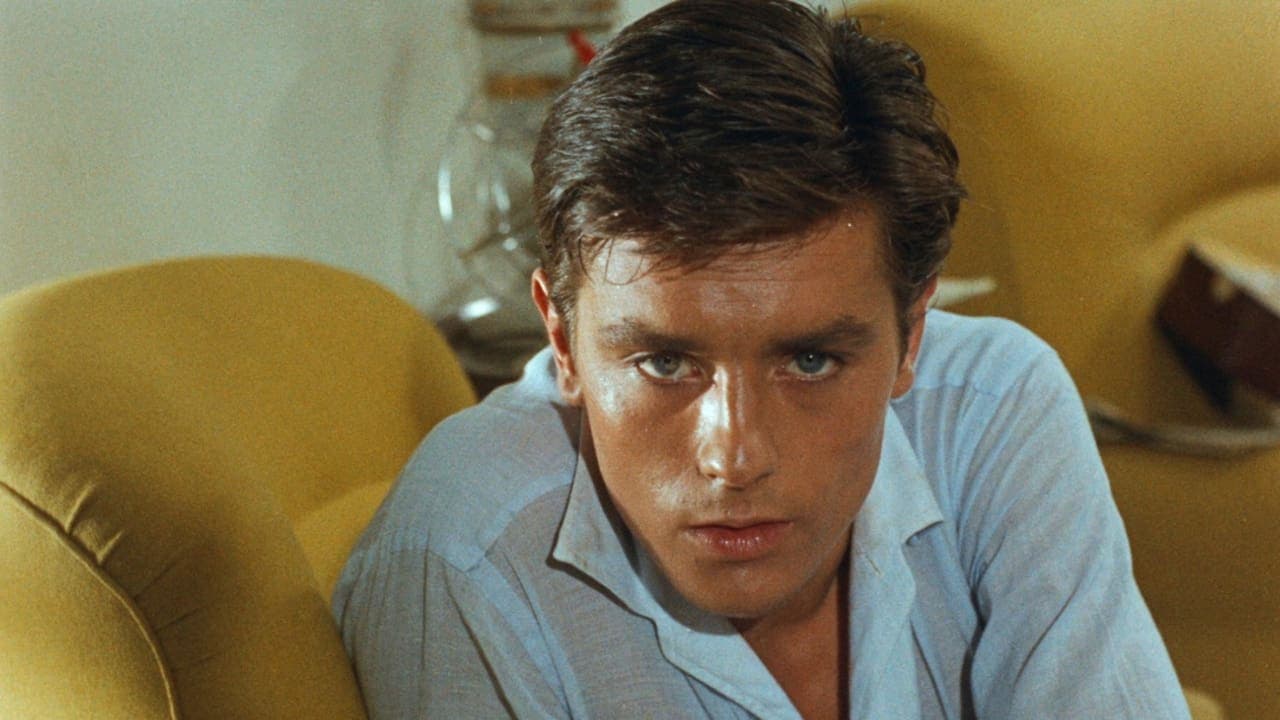 Purple Noon backdrop