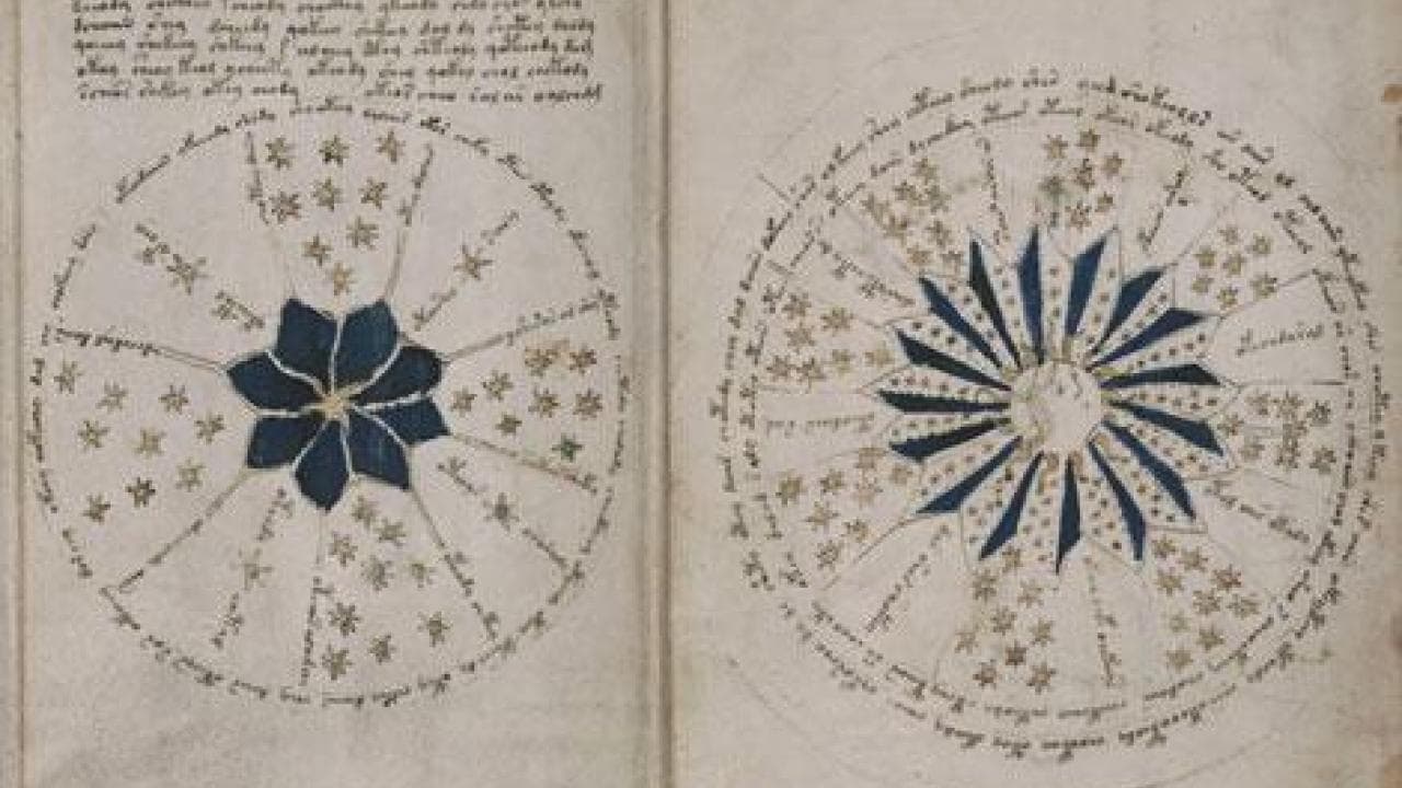 The Voynich Code: The World's Most Mysterious Manuscript backdrop