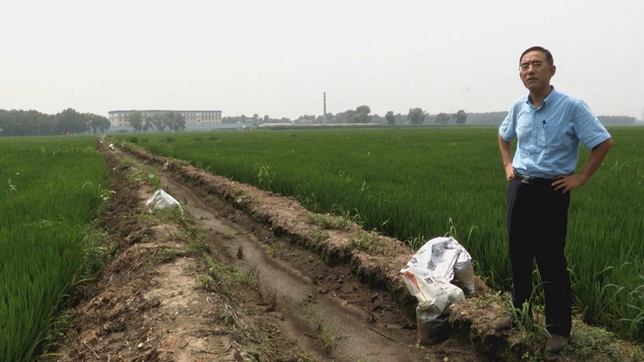 Letter from Masanjia backdrop