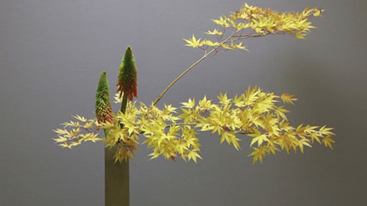 Ikebana backdrop