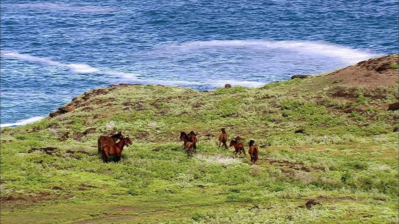 Les Marquises, aux sources de la Polynésie backdrop