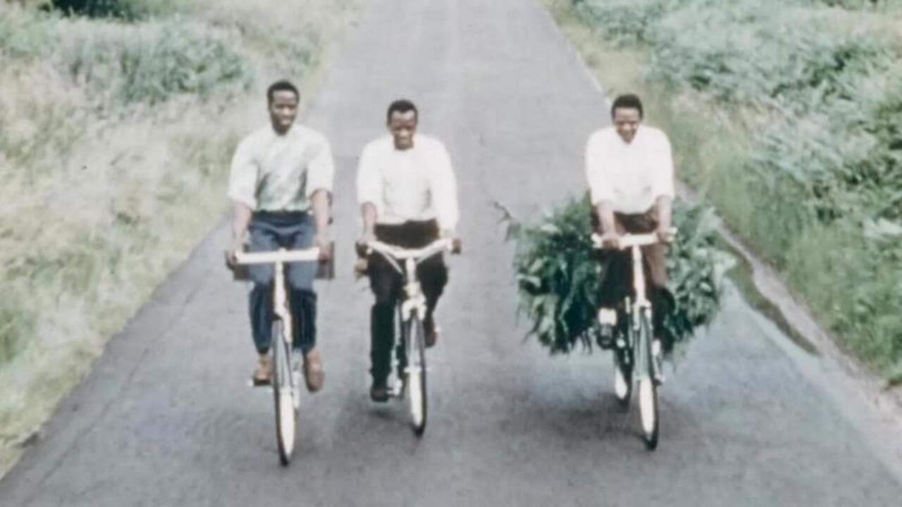 Phillips Bicycles - Publicity Films for West Africa backdrop