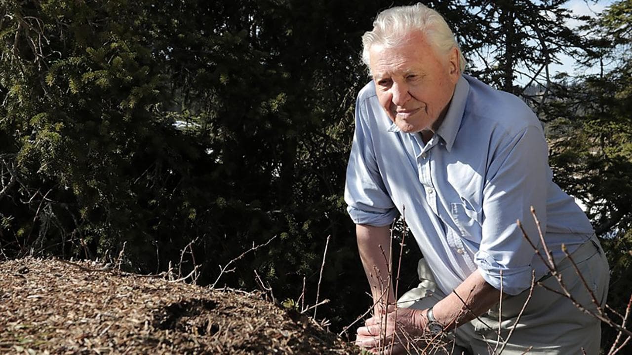 Attenborough and the Empire of the Ants backdrop