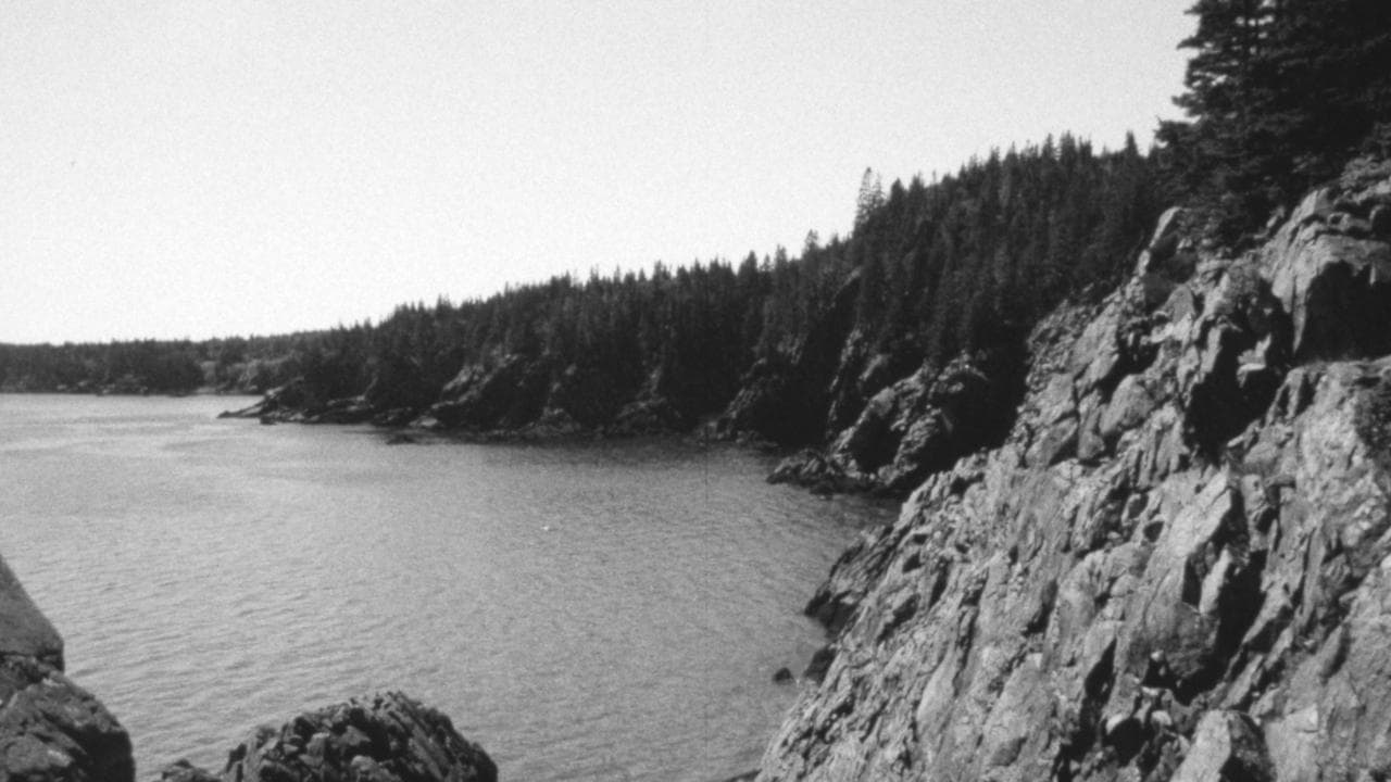 The Forest and The Sea backdrop