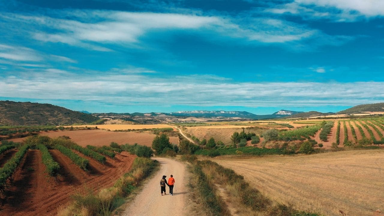 Buen Camino backdrop