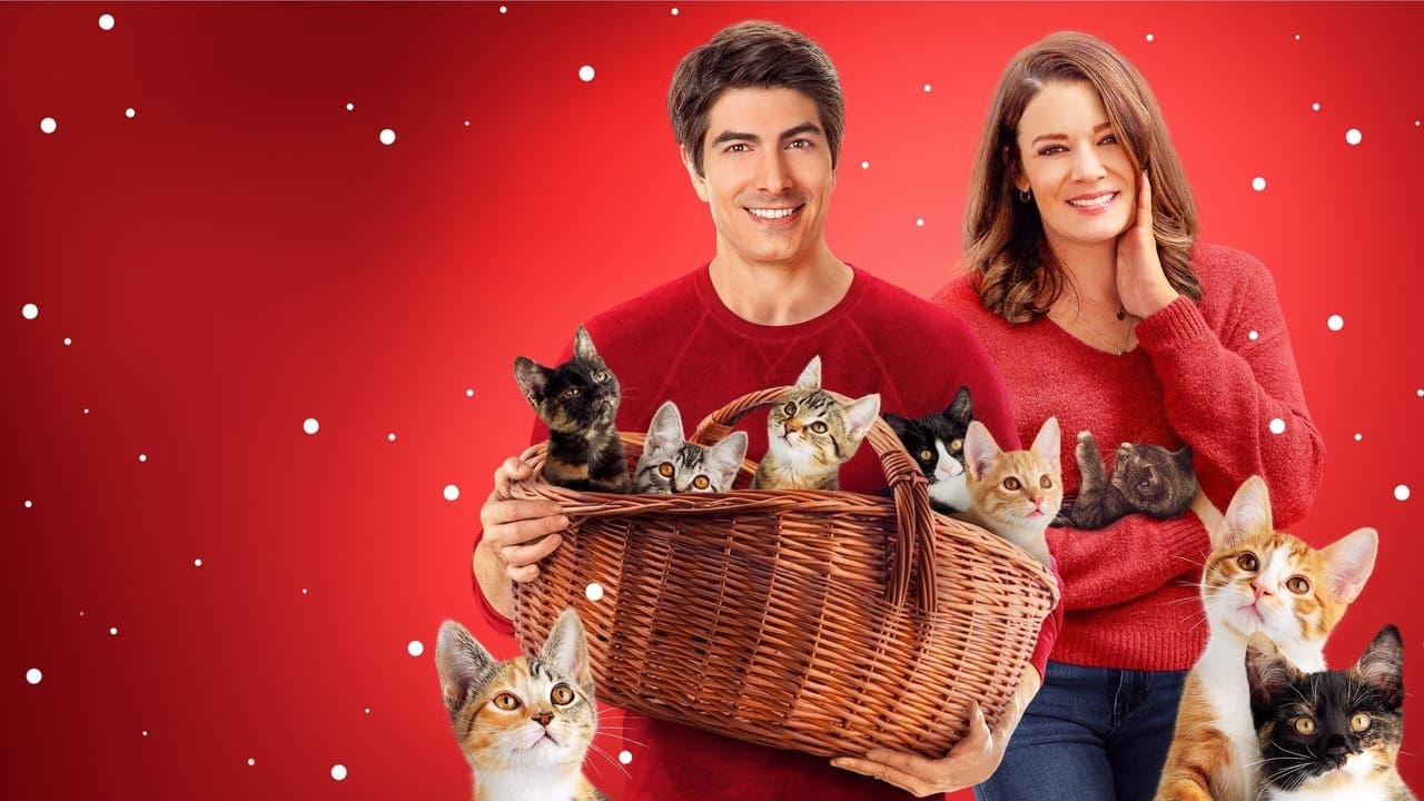 The Nine Kittens of Christmas backdrop