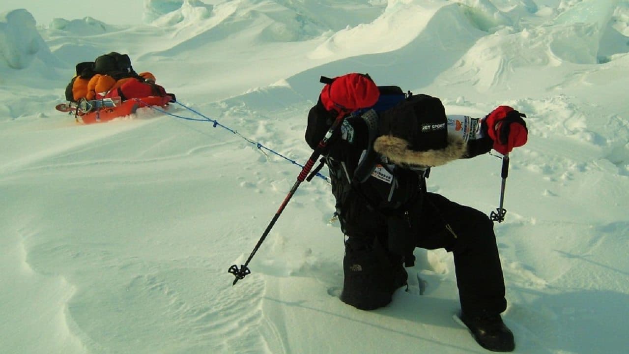 Beyond the Arctic backdrop