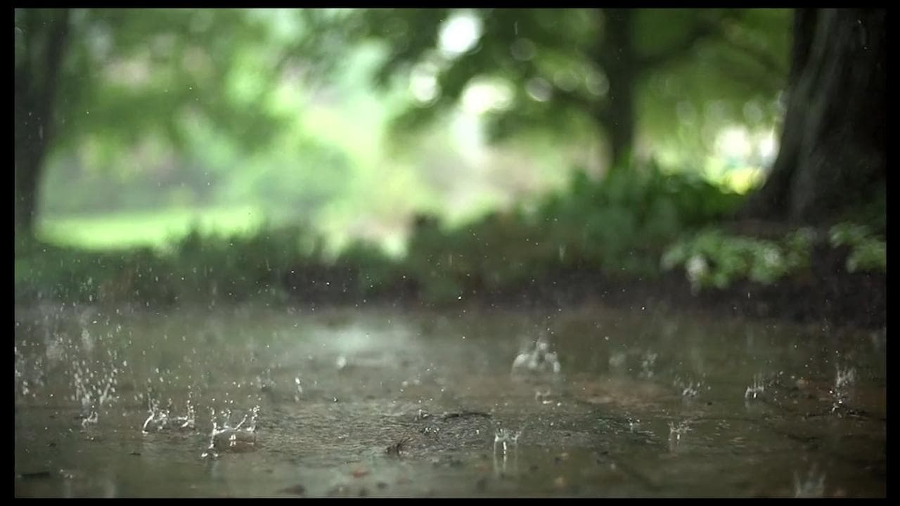 Reflections in a Raindrop: A Student Film backdrop