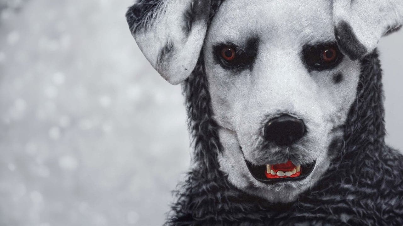 Good Boy backdrop