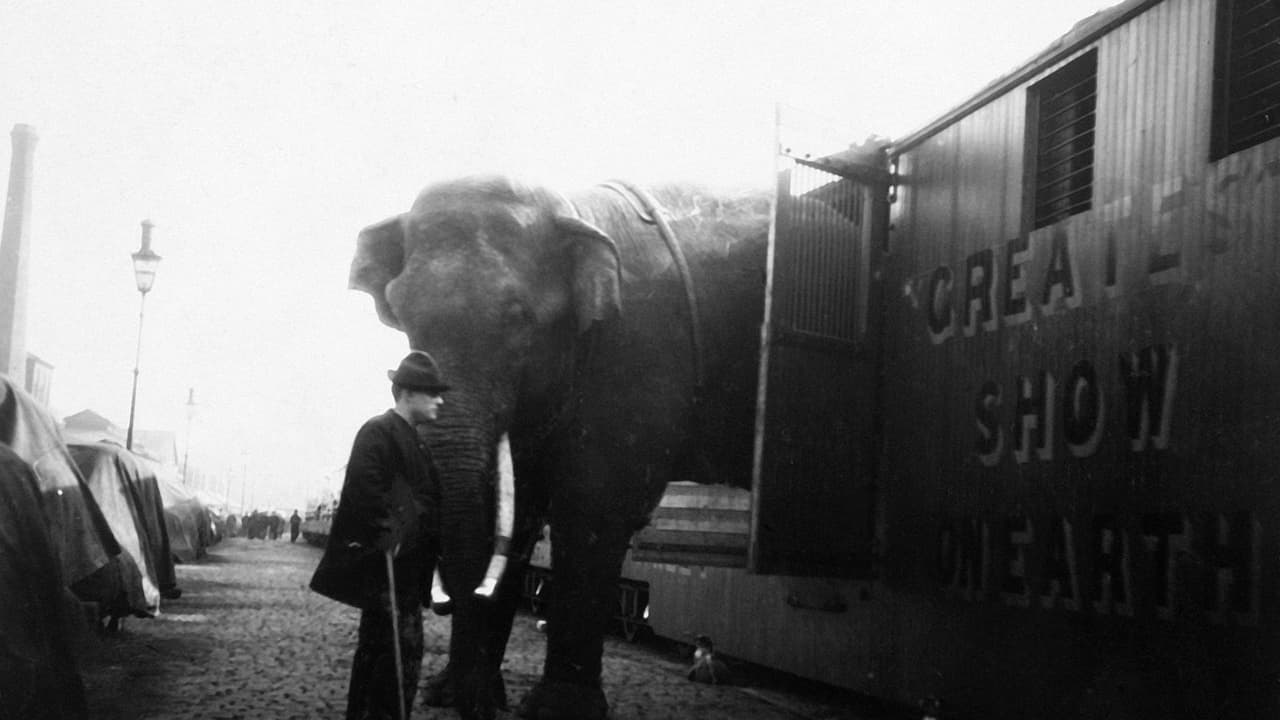 La Tragique Histoire de Fritz l'éléphant backdrop