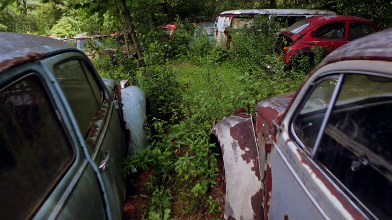 The Bug: Life and Times of the People's Car backdrop