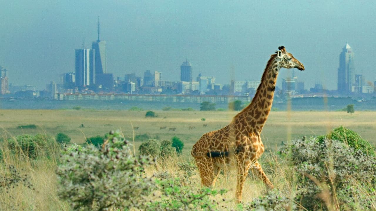 Breaking Boundaries: The Science of Our Planet backdrop