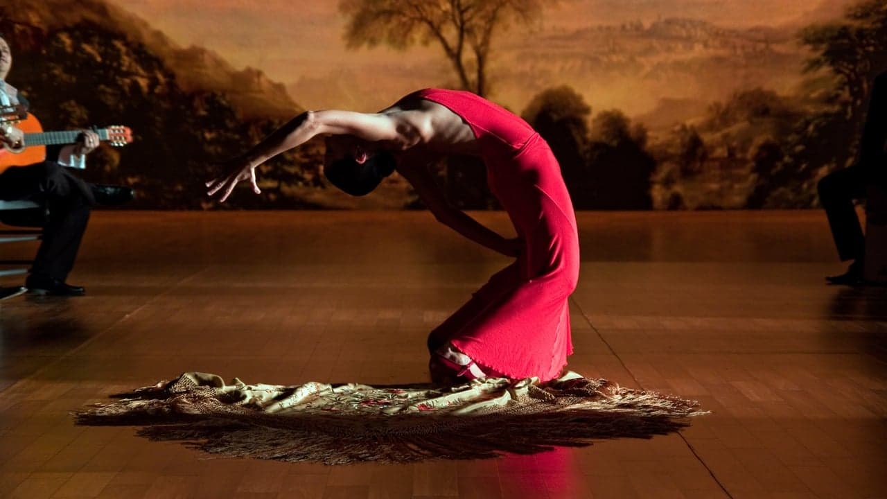 Flamenco Flamenco backdrop