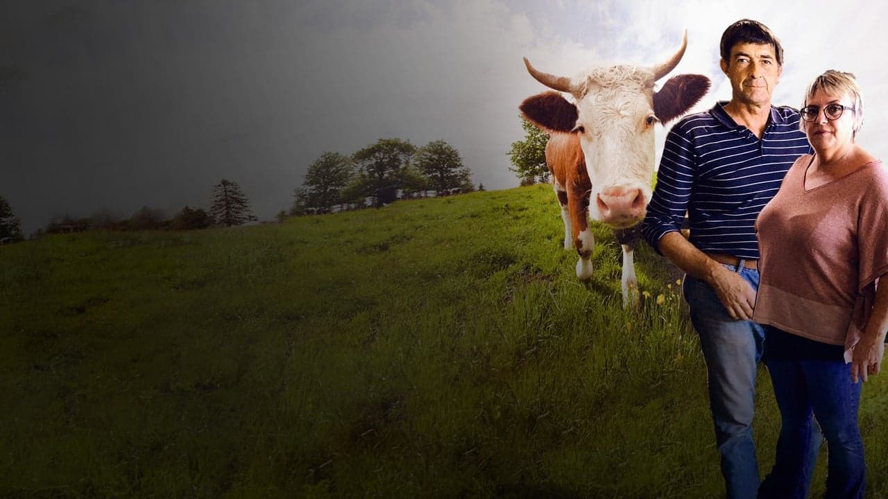 L'Amour vache backdrop