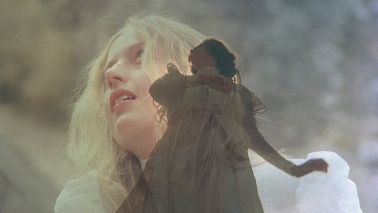 Picnic at Hanging Rock backdrop