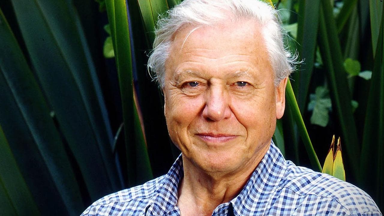 Gorillas Revisited with Sir David Attenborough backdrop