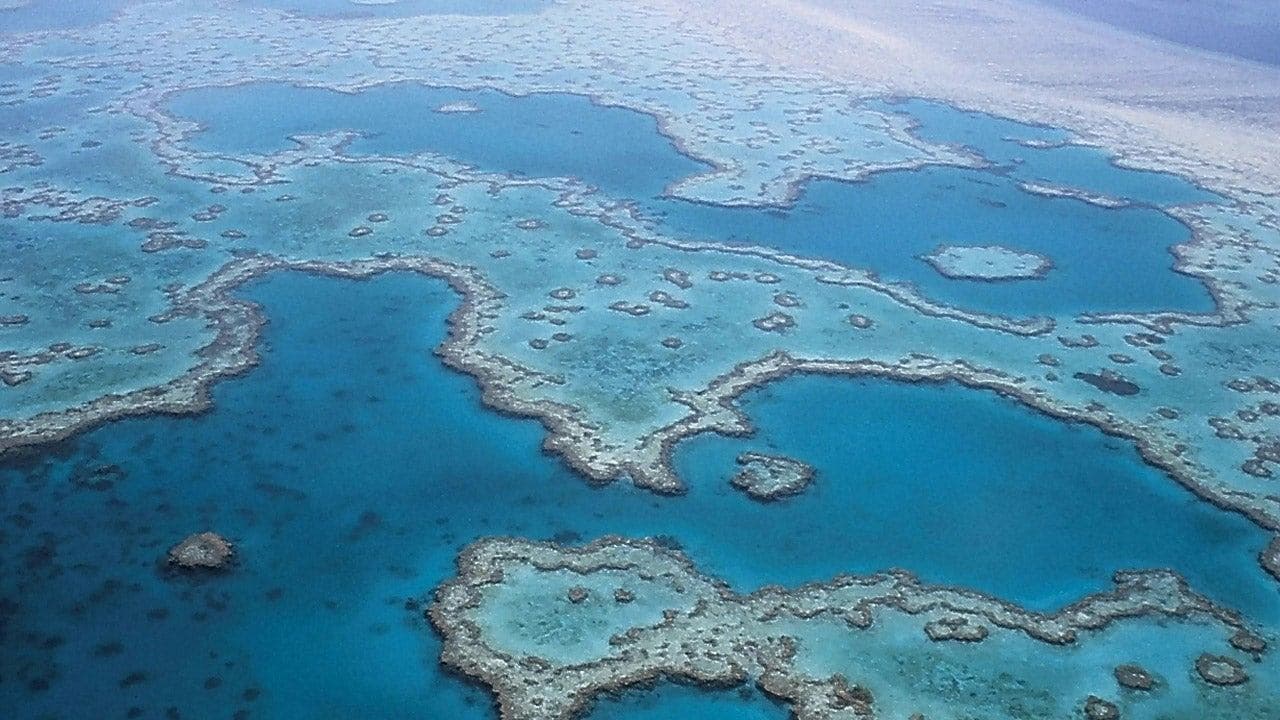 Les défis de la Grande Barrière de corail backdrop