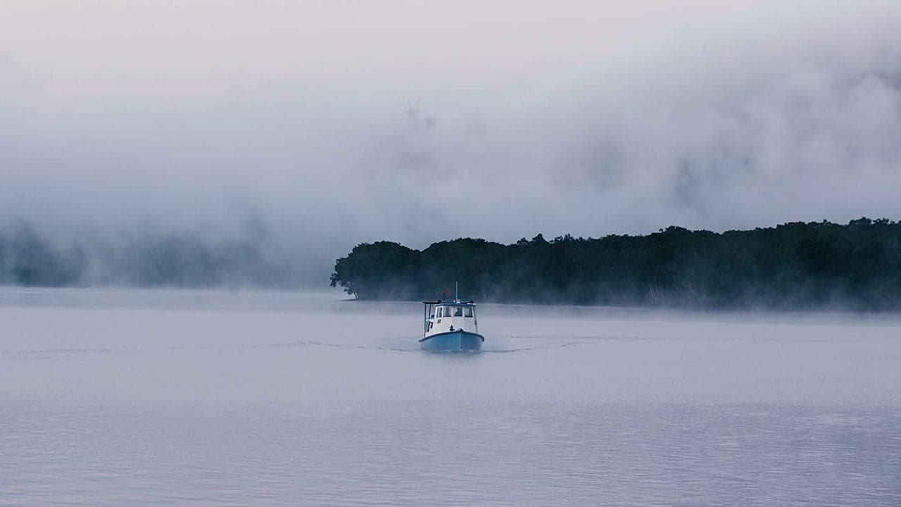 The Screaming Silent backdrop