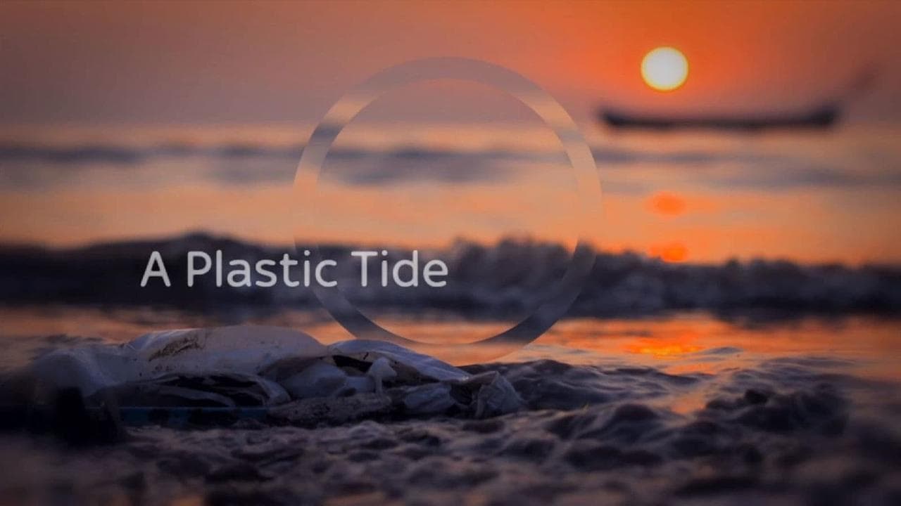 A Plastic Tide backdrop