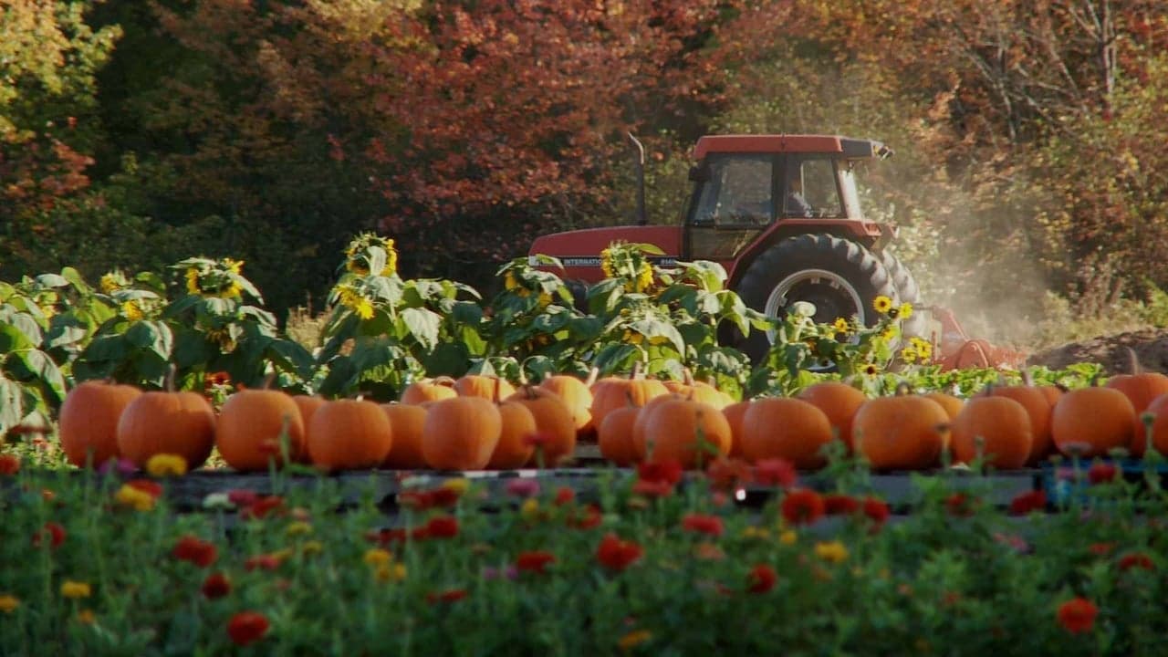 Farmageddon backdrop