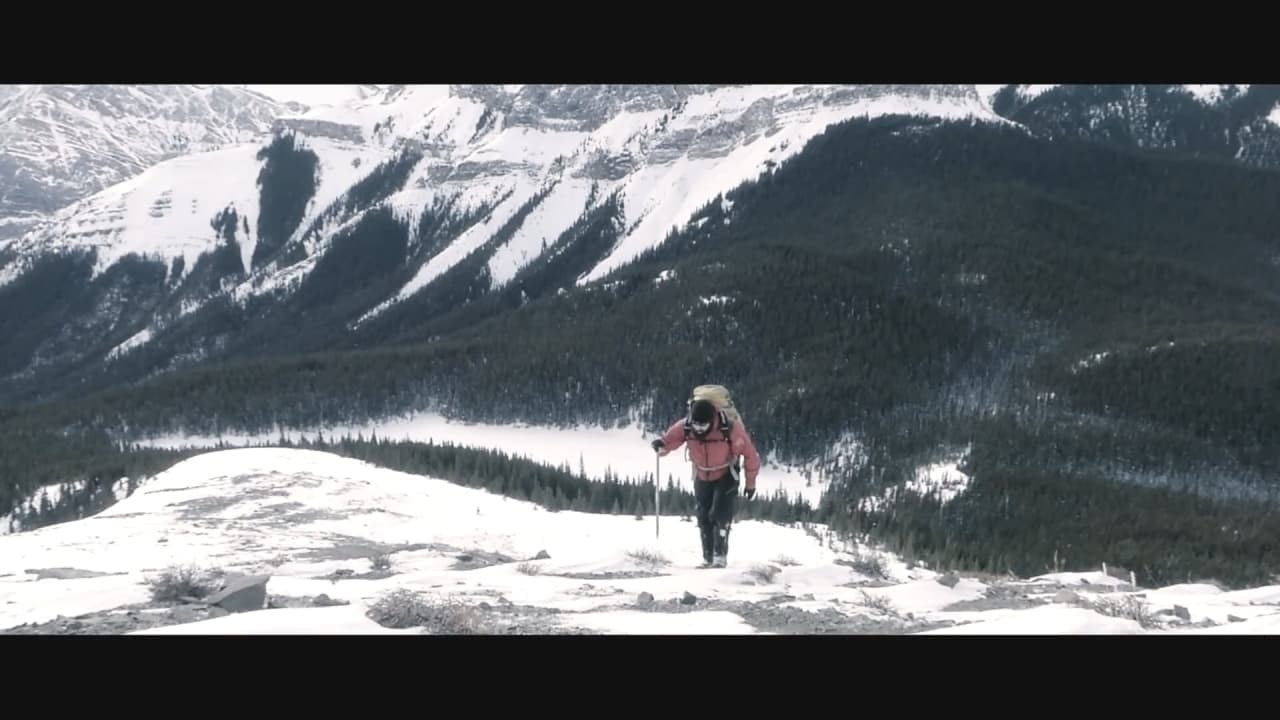 Expedition Sasquatch backdrop