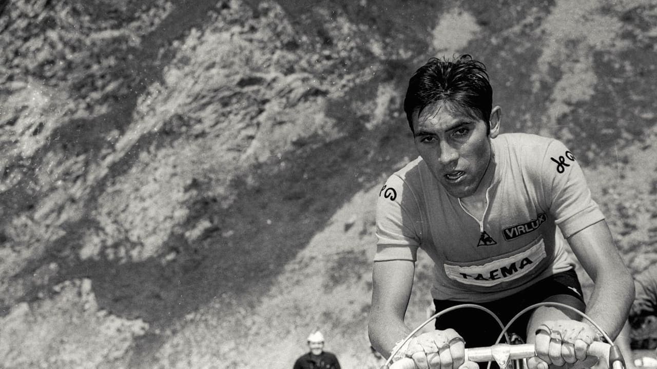 1969 - Following Merckx backdrop